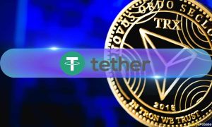 Read more about the article USDT Transfer Volume on TRON Reaches All-Time High of $587.2B