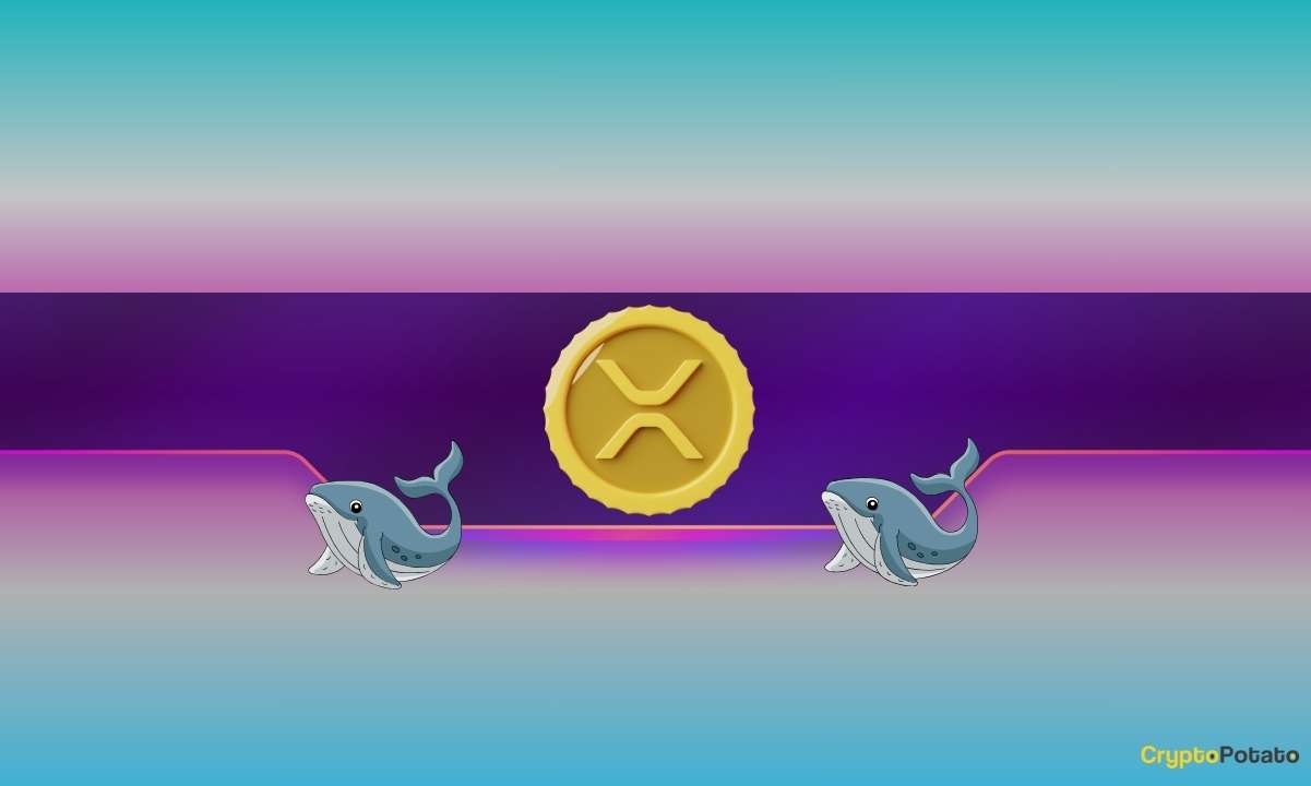 Read more about the article Ripple, Dogecoin Whales Bought the Dip as XRP, DOGE Prices Soar