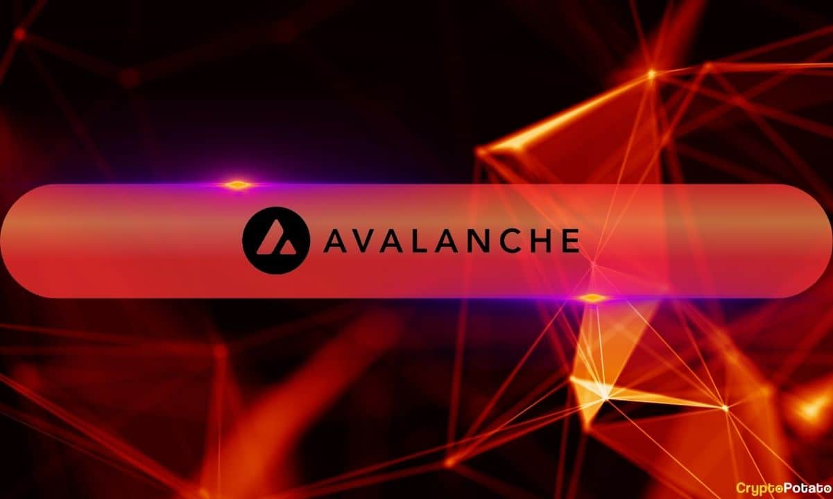 You are currently viewing Everything You Need to Know About Avalanche9000 Network Upgrade with Etna on Mainnet