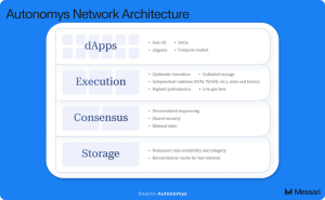 Read more about the article Understanding Autonomys Network: A Comprehensive Overview