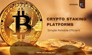 Read more about the article Keynode Revolutionizes Crypto Staking with Daily Rewards and Enhanced Security