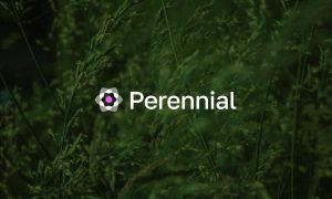 Read more about the article Perennial Unveils a Novel Intent Layer for Perpetuals – Solving DeFi’s Fragmented Liquidity Problem