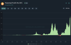 Read more about the article Bitcoin Investors Are Now Up $67,000 On Average – And This Is  Just The Start