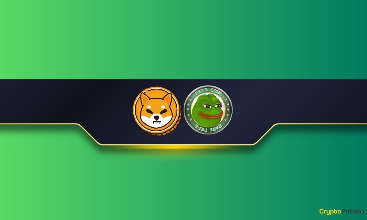 You are currently viewing Can PEPE Surpass Shiba Inu by 2024’s End? ChatGPT Answers