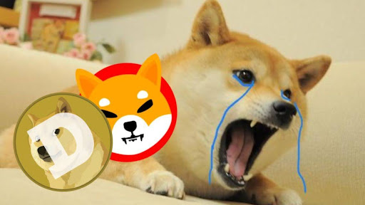 Read more about the article This $0.000667 Crypto Could Surpass Dogecoin and Shiba Inu in the 2025 Bull Run!