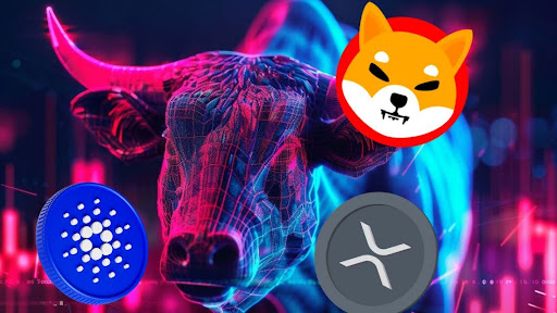 You are currently viewing XRP and Cardano Surge This Cycle—Do Their Gains Reflect Previous Bull Run Moves? Who Will Be This Phase’s Shiba Inu?