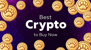 Read more about the article Best Crypto to Buy Now: 3 High-Performing Coins Before the Next Rally