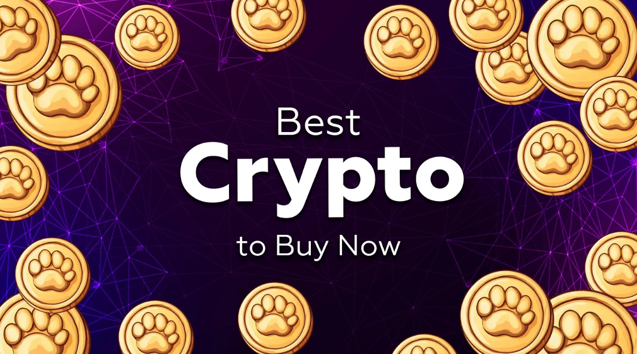 You are currently viewing Best Crypto to Buy Now: 3 High-Performing Coins Before the Next Rally