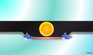 Read more about the article 100,000,000 ADA: Price Crash Incoming Following Extreme Offloading?