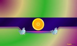 Read more about the article Cardano Whales Fill Their Bags: ADA Bull Run Incoming?