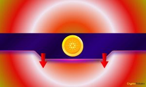 Read more about the article Why is the Cardano (ADA) Price Down Today?