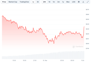 Read more about the article Bitcoin (BTC) Rebounds From the Crash to $80,000, These Altcoins Plummet by Double Digits (Market Watch)