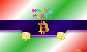 Read more about the article Warning: Bitcoin Just Hit $88K — But This Metric Says ‘Crash Ahead’