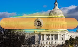 Read more about the article Bitwise CIO: US Bitcoin Strategy Could Avert Future Ban and Boost Global Adoption