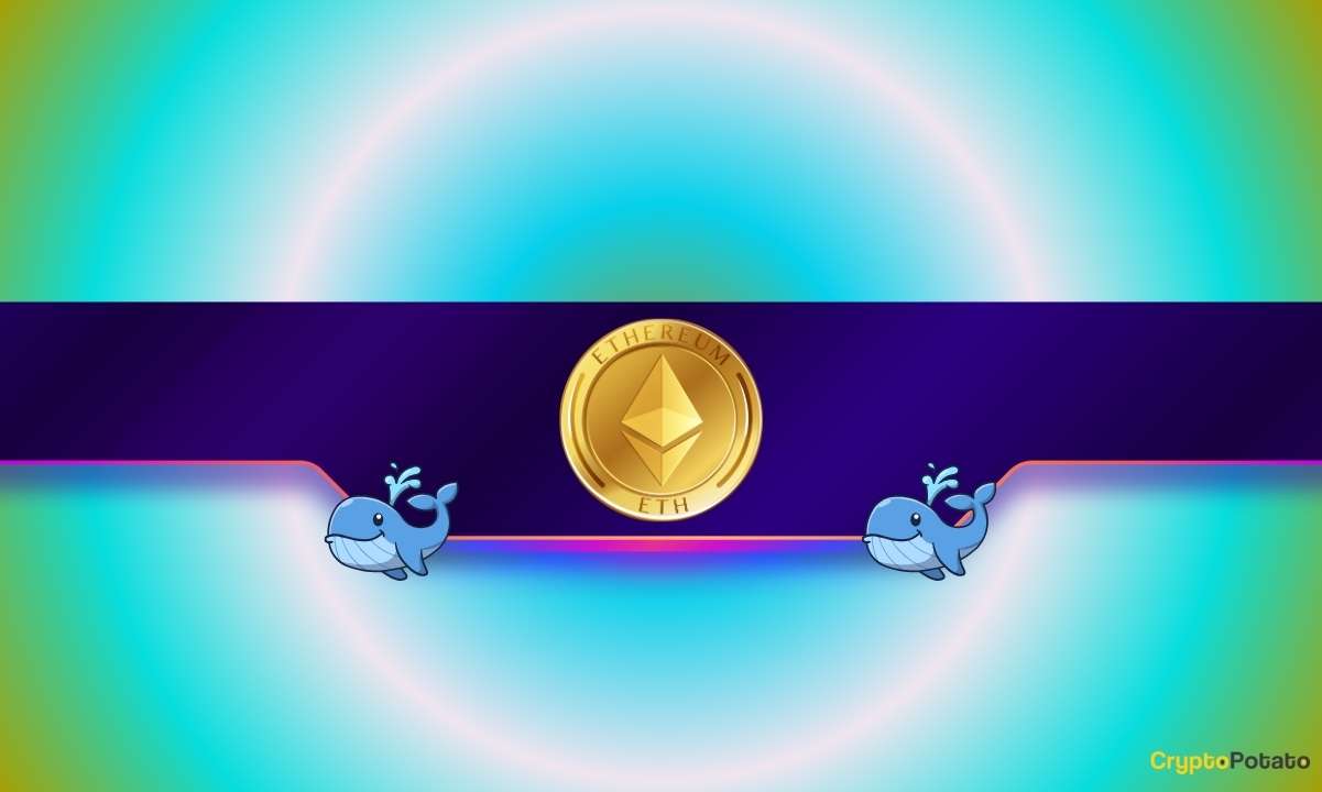 You are currently viewing Ethereum Whales Accumulate Millions of Tokens: ETH Price Surge on the Way?