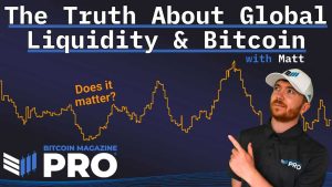 Read more about the article How Global Liquidity Fuels Bitcoin Price Growth