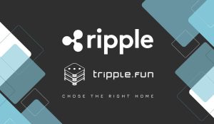 Read more about the article XRP Ecosystem expansion is inevitable