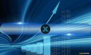 Read more about the article Immutable X and zkEVM NFT Sales Surge 55% in Q4 2024, But Market Participation Declines