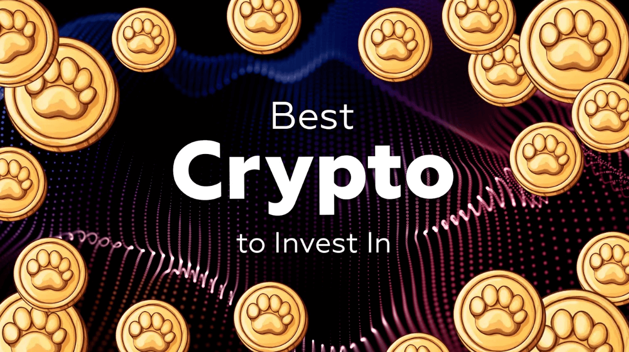 You are currently viewing Best Crypto to Invest In: 3 Coins That Offer Both Stability and Growth