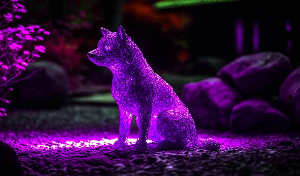 You are currently viewing New Dog-Themed Memecoin DOGINME Rips Following Addition to Coinbase Listing Roadmap