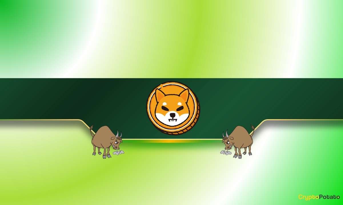 You are currently viewing 3 Reasons Why the Shiba Inu (SHIB) Price Might Rally Soon