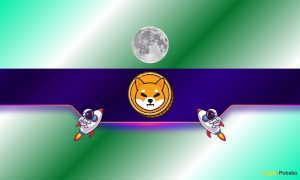 Read more about the article Shiba Inu (SHIB) ‘to the Moon’ But Under This Crucial Condition (Bitcoin Advocate Weighs in)