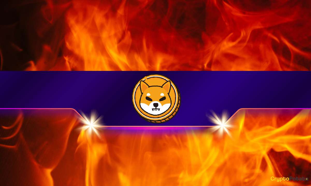 You are currently viewing SHIB Burn Rate Goes Parabolic — What’s Fueling the Fire?