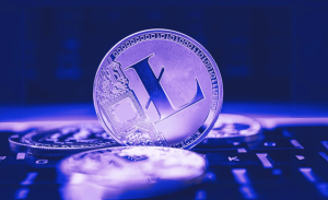 Read more about the article Why You Should Invest in Panshibi (SHIBI) and Litecoin (LTC) Now With Major Approvals on the Horizon!