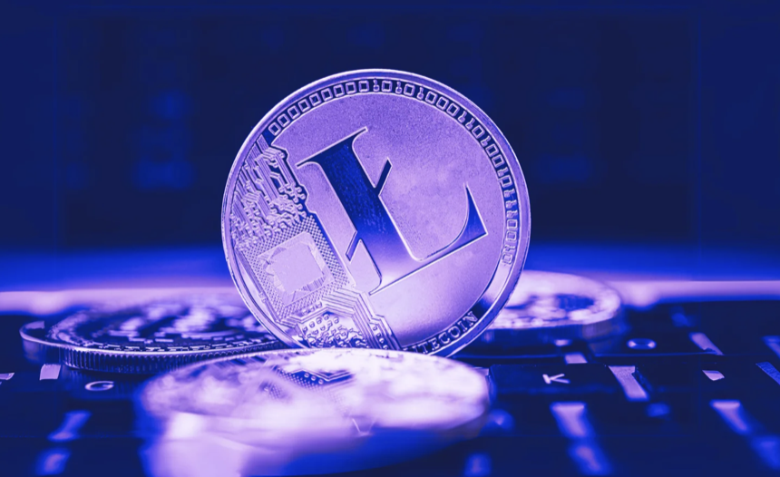 You are currently viewing Why You Should Invest in Panshibi (SHIBI) and Litecoin (LTC) Now With Major Approvals on the Horizon!