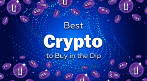 Read more about the article Best Crypto to Buy in the Dip: Opportunities for Long-Term Growth