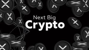 Read more about the article Next Big Crypto: Undervalued Projects Ready to Surge