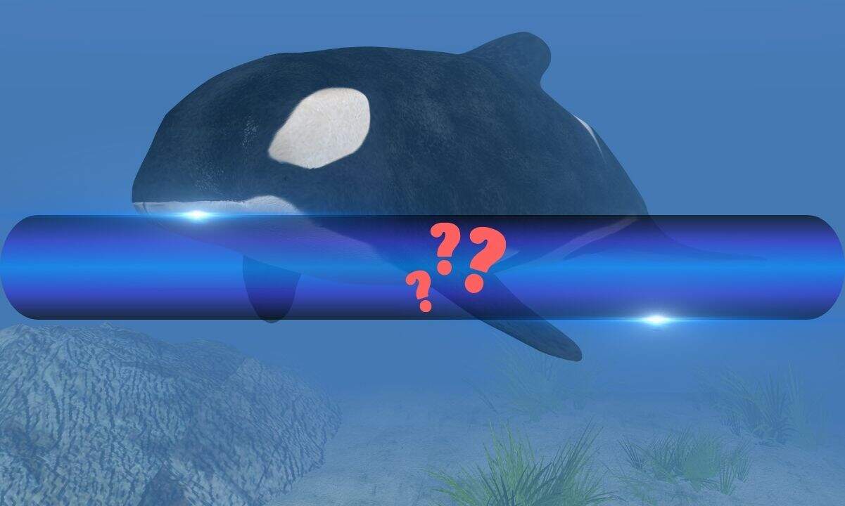 You are currently viewing ZachXBT Identifies Hyperliquid Whale as UK Fraudster