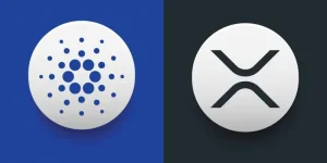 Read more about the article Cardano and XRP Ecosystem Link Up as Tokeo Wallet Eyes XRPL Integration