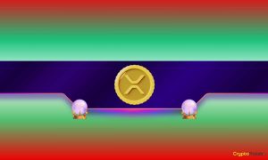 Read more about the article Interesting Ripple (XRP) Price Predictions: Watch Out