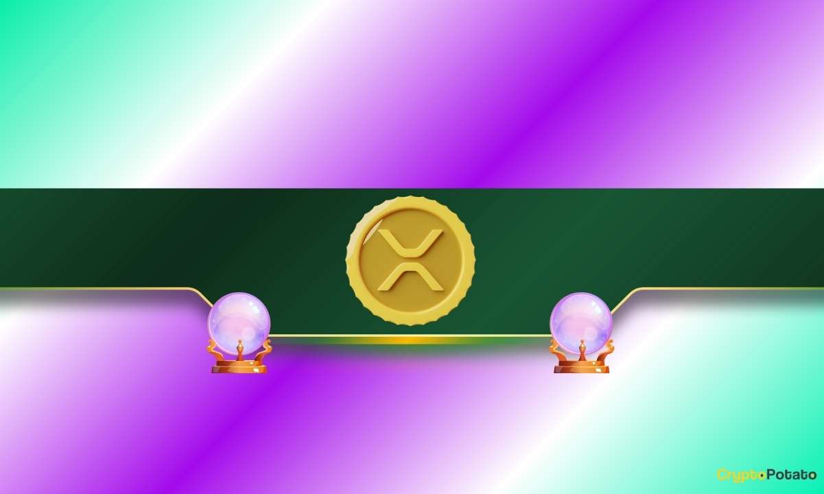You are currently viewing This Mystery Asset Leads XRP’s Price by 29 Days