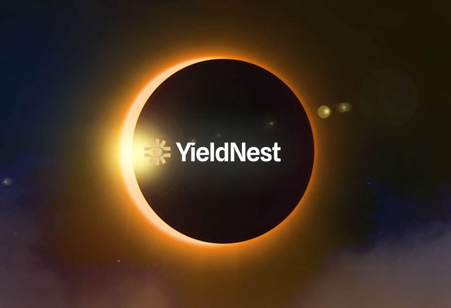 You are currently viewing Inside the Story of Amadeo Brands and His DeFi Consistency