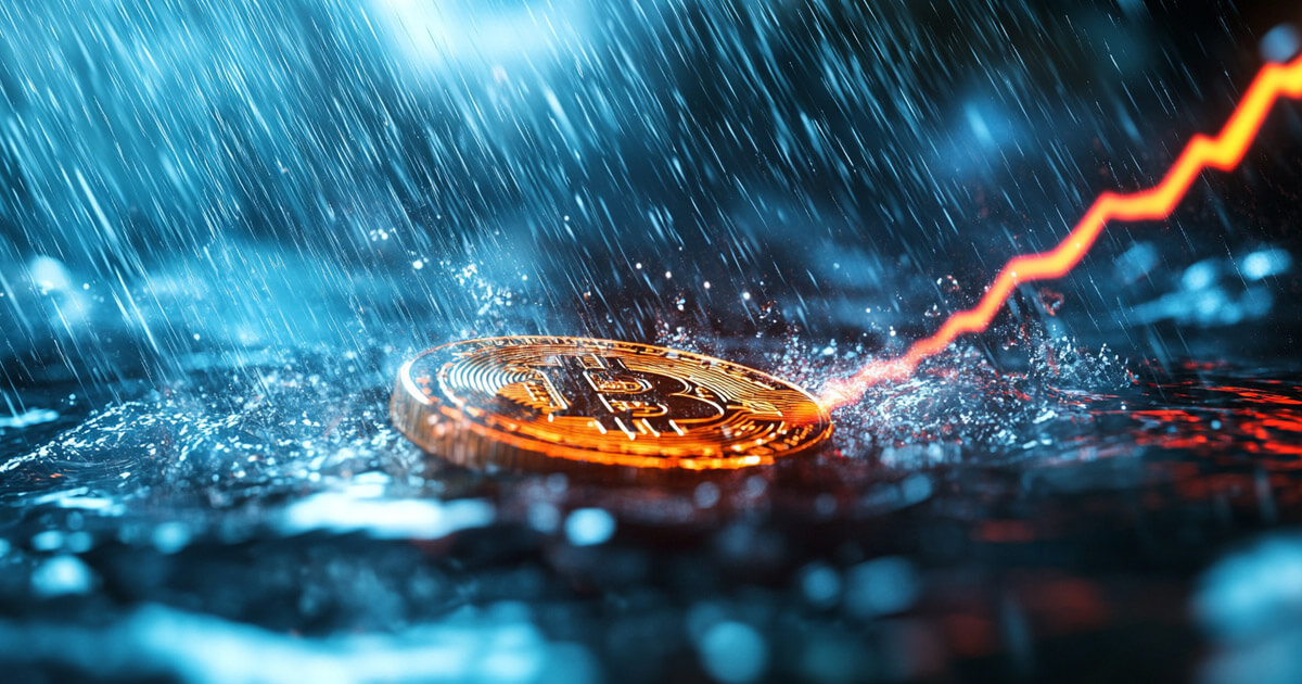 Read more about the article Whales accumulate 65,000 Bitcoin as market uncertainty grows