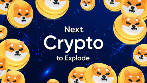 Read more about the article Next Crypto to Explode: Coins Positioned for the Next Bull Run