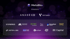 Read more about the article Understanding Roam: A Comprehensive Overview
