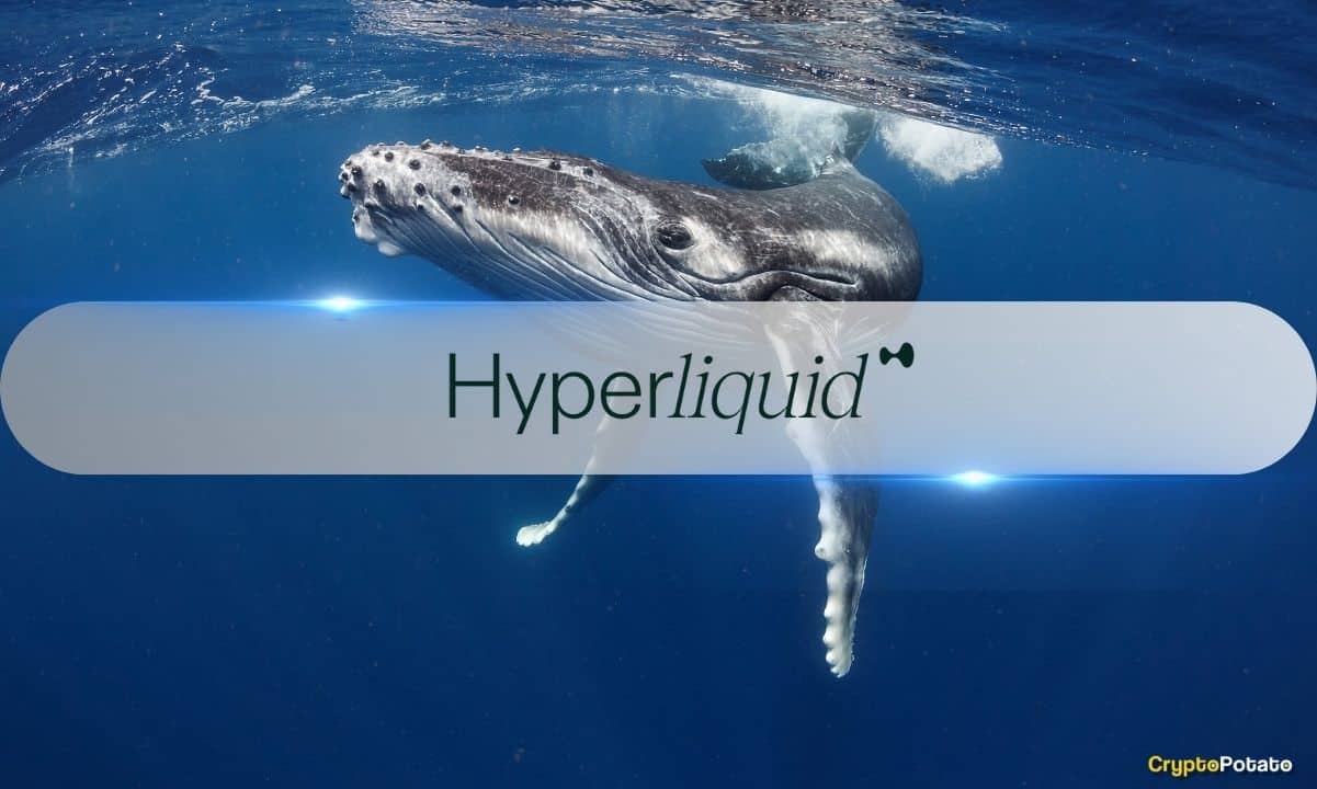 You are currently viewing Hyperliquid’s Elite Traders Rack Up Massive Profits Amid HYPE Token Surge