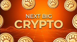 Read more about the article Next Big Crypto: 3 Emerging Coins Gaining Attention