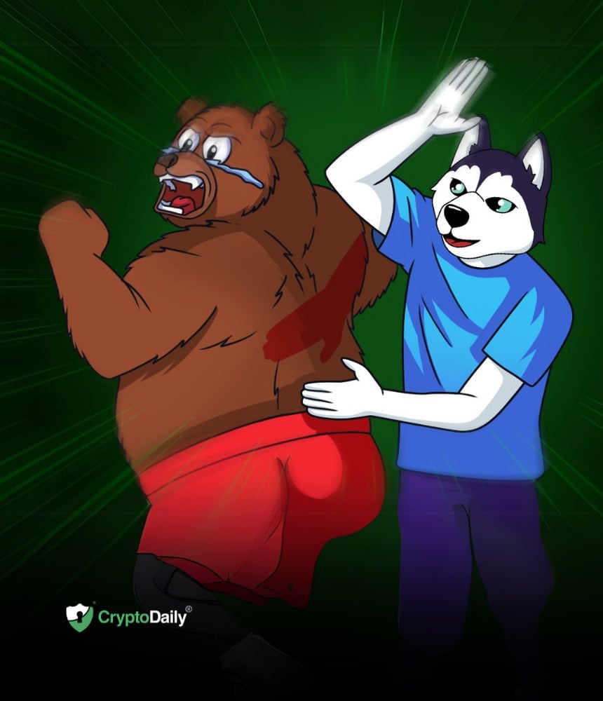 You are currently viewing Husky Inu (HINU) vs Floki (FLOKI): How Do They Stack Up?