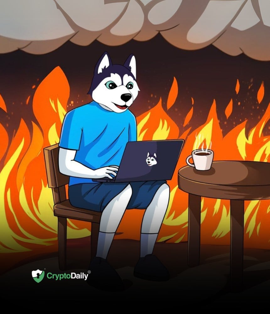 You are currently viewing Husky Inu (HINU) Presale Surges Past $730,000 As Meme Coins Rally