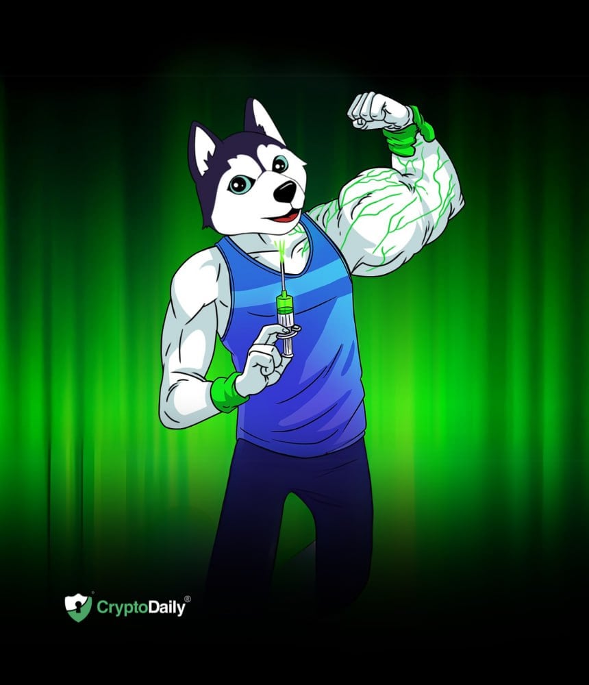 You are currently viewing Husky Inu (HINU) Presale Soars As Markets Await FOMC Meeting