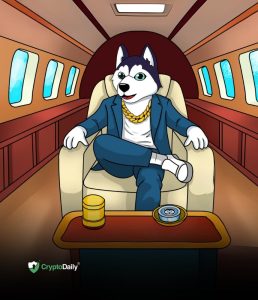 Read more about the article Husky Inu (HINU): The Next Big Project In The Meme Coin Ecosystem