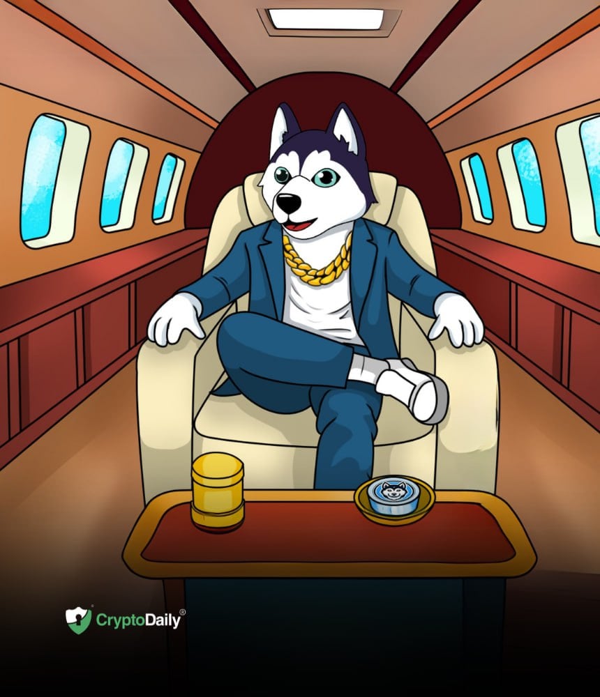 You are currently viewing Husky Inu (HINU): The Next Big Project In The Meme Coin Ecosystem