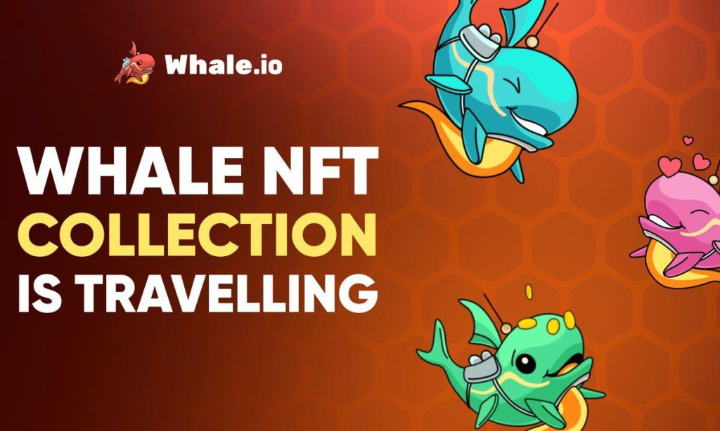 You are currently viewing Whale.io to Bridge NFT Collection from TON Blockchain to Solana