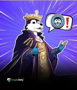 Read more about the article Husky Inu (HINU) Presale Soars Despite Market Downturn