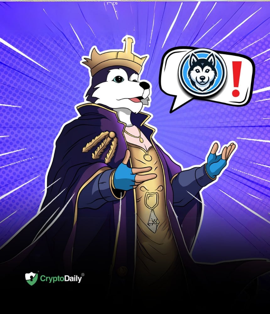 You are currently viewing Husky Inu (HINU) Presale Soars Despite Market Downturn