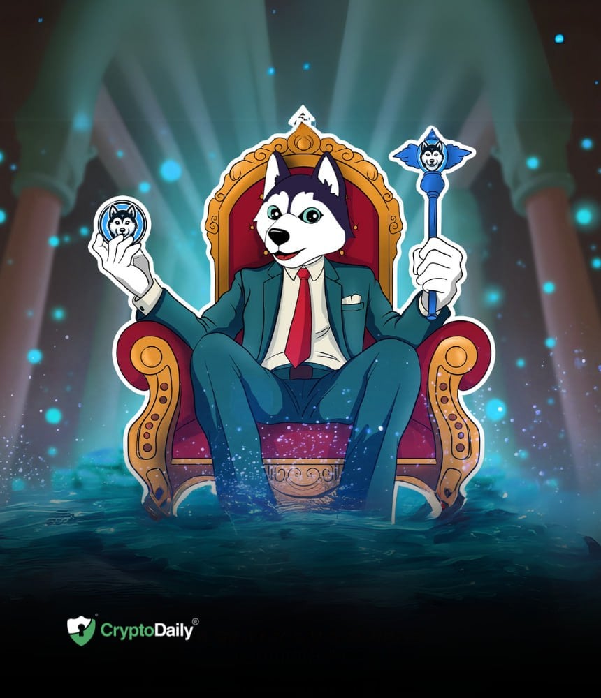 You are currently viewing Should You Add Husky Inu (HINU) To Your Portfolio?